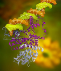 Luciferase reporter products