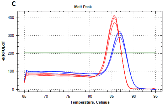 BlazeTaq RT-qPCR熔融曲线