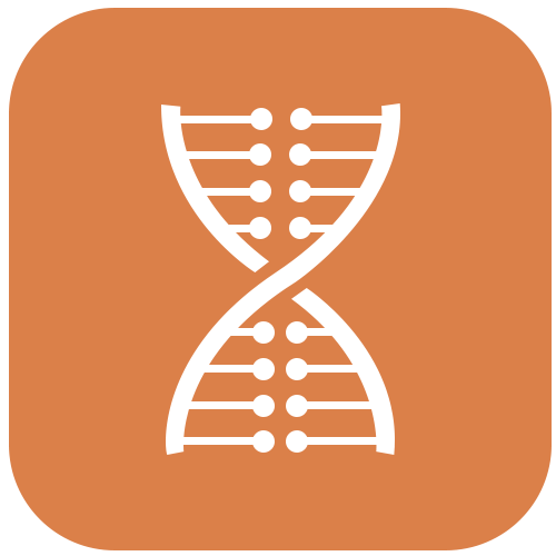 Cancer research, CRISPR stable cell lines | Genecopoeia