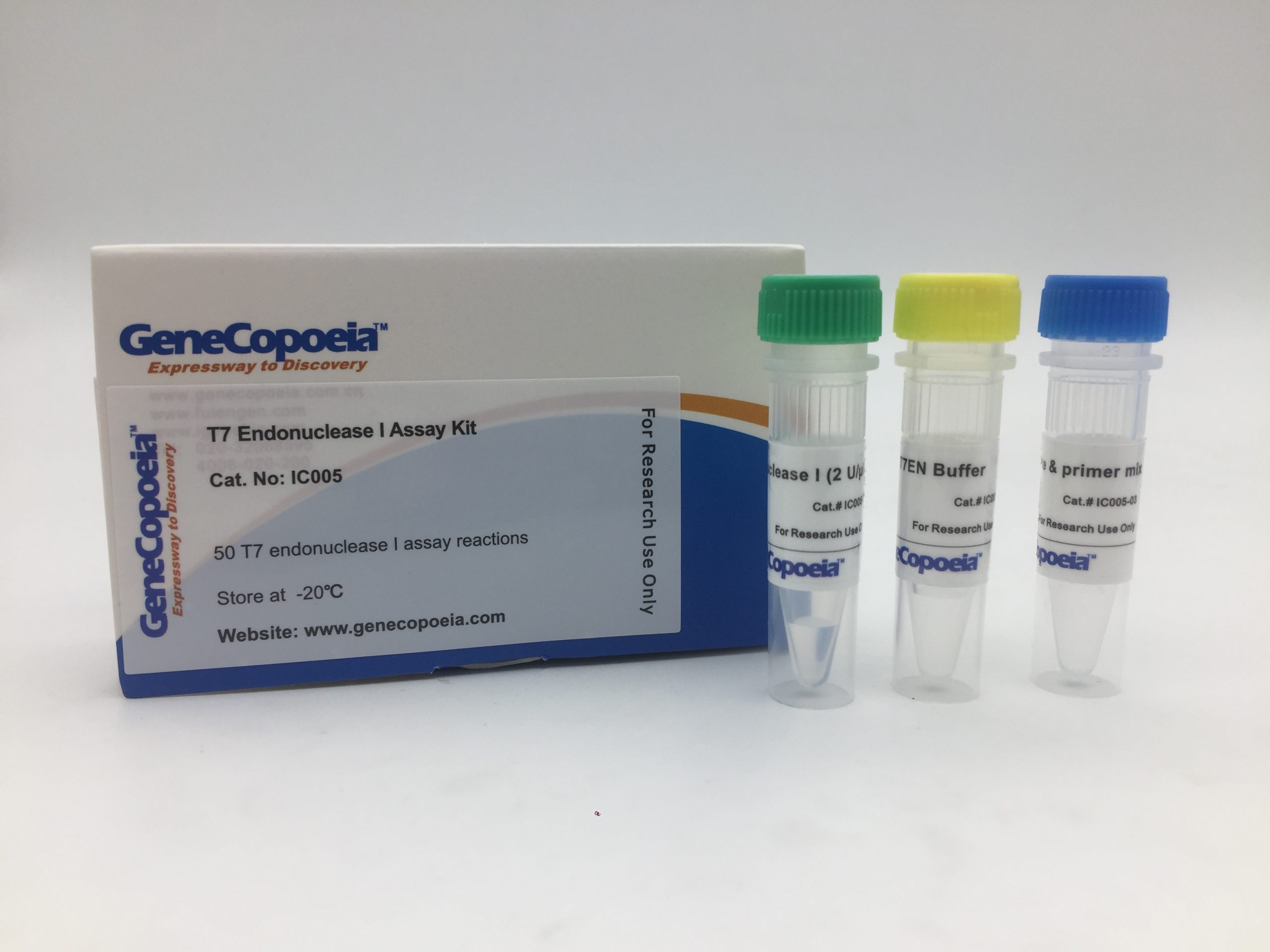 T7核酸内切酶I检测试剂盒